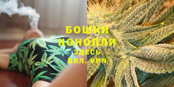 твердый Мегион