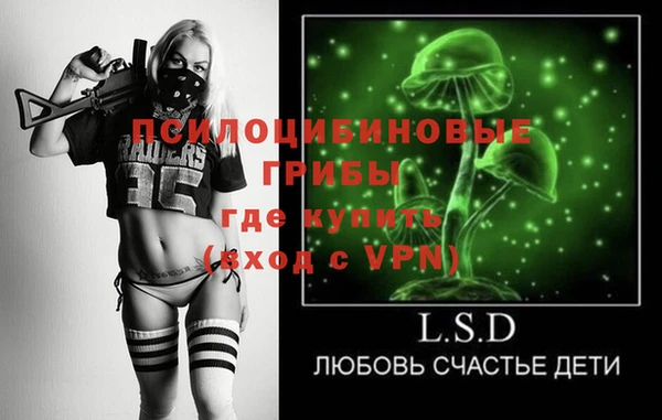 ПСИЛОЦИБИНОВЫЕ ГРИБЫ Армянск